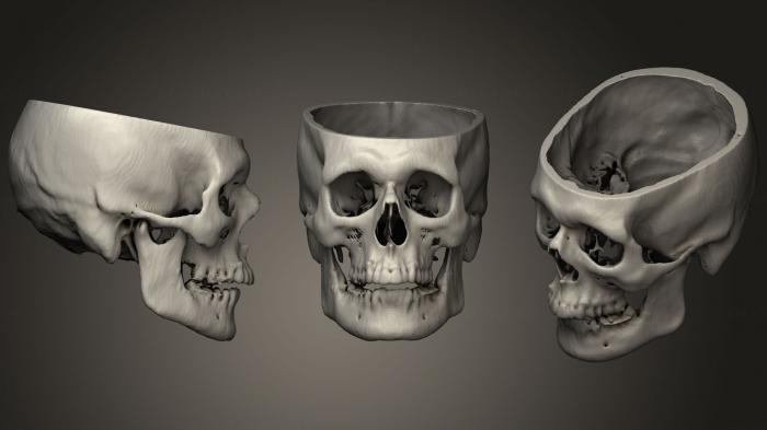 Anatomy of skeletons and skulls (ANTM_1285) 3D model for CNC machine